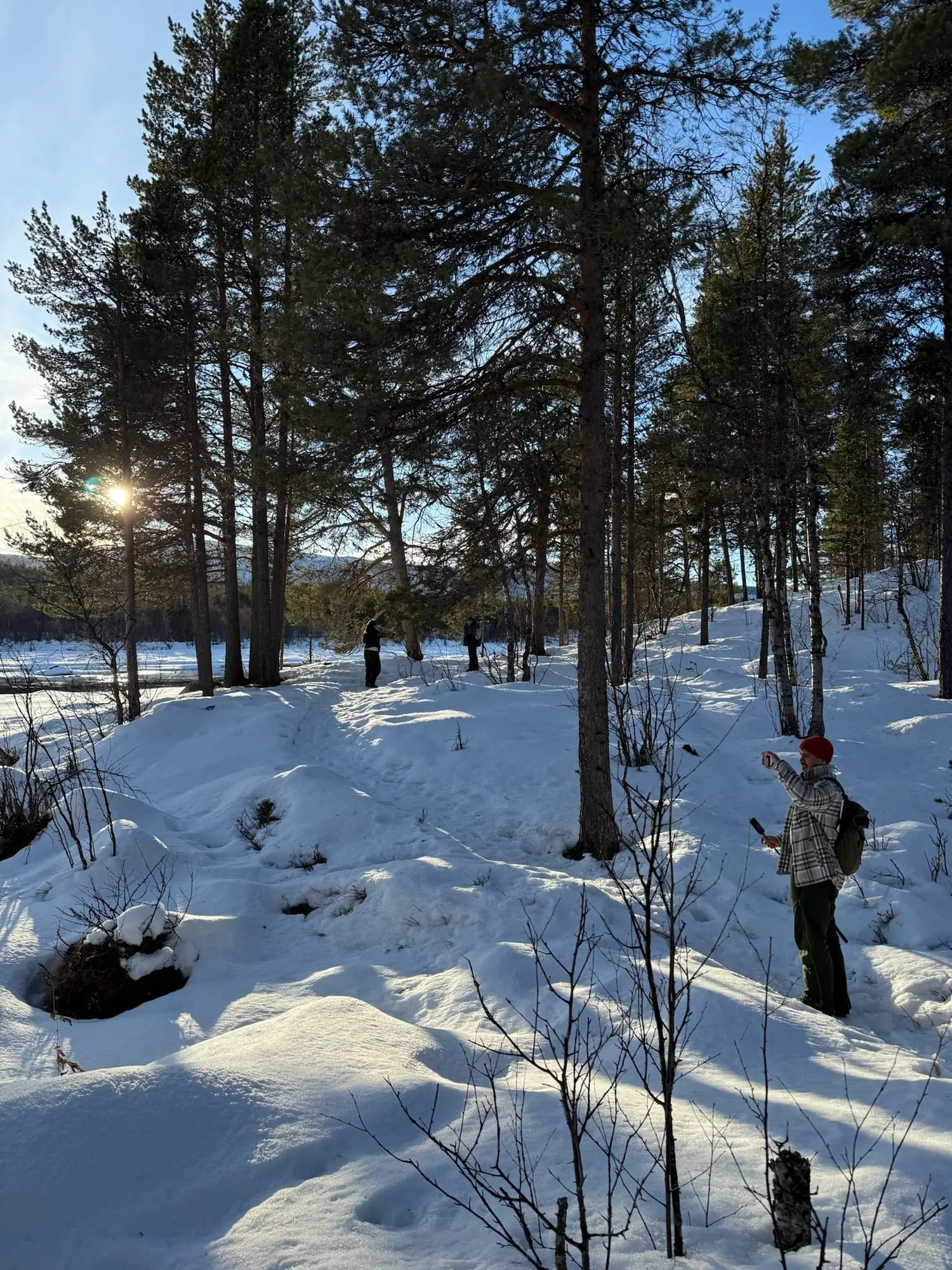 People walking along a snowy path through a pine forest in low winter sun, one of them in a red hat taking a photo