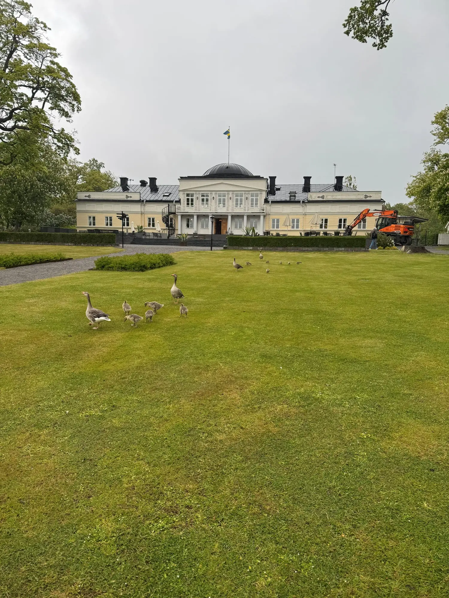 A pale yellow manor house behind a wide lawn with a family of geese in the foreground